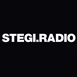 Stegi Radio - The Hip Hop Side logo