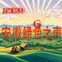 安徽农村广播 logo