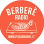 Pizza or Vinyl logo