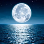 LUNA LINDA DE LA NOCHE logo
