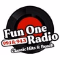 Fun One Radio 99.1 & 94.3 - WDZD-LP logo