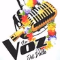La Voz del Valle logo