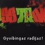 Basstronic logo