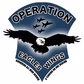 Operation Eagles Wings - Light America Blue logo