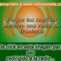 Radiosureste logo