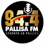 94.1 Pallisa FM logo