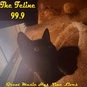 The Feline 99.9 This Kitty Rocks logo