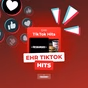 EHR TikTok Hits logo