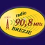 Radio Brezje logo