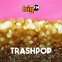 bigFM Trashpop logo