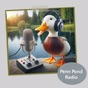 Penn Pond Radio logo