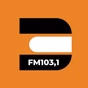 Rádio Difusora Paraisense logo