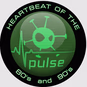 Vizyon Pulse logo