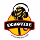 EchoVibeFM logo