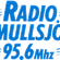 Radio Mullsjo logo