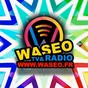 WASEO RADIO TV logo
