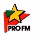ProFM - ProFM Number 1 Hits logo