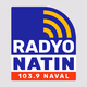 Radyo Natin Naval - DYSF logo
