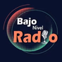 Bajo Nivel logo