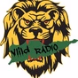 ViiLD Urban logo
