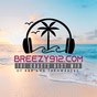 Breezy912.com logo
