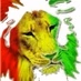 Ethnafrica.net Webradio logo