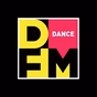 DFM Казань logo