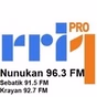 RRI - PRO1 Nunukan logo