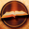 Streaming Bible Radio - Spanish logo