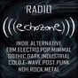 echozone logo