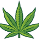 Logo de Green Flower Dispensary Radio