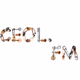 Logo de Ceol FM - Energetic