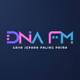 Logo de DNA FM - LOVES