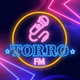 Logo de Torrofm