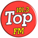 Logo de Top FM 101.3