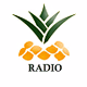 Logo de Ananaz Radio