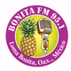 Logo de BONITA FM 95.1
