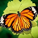 Logo de AirlessRadio - New Age