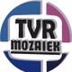 Logo de Radio Mozaïek