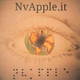 Logo de NvRadio