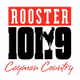 Logo de Rooster 101