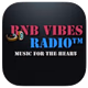 Logo de RnB Vibes Radio