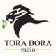 Logo de Tora Bora