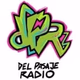 Logo de Del Pasaje Radio