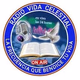Logo de Radio Vida Celestial