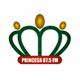 Logo de Rádio Princesa