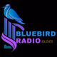 Logo de Bluebird Radio - Oldies