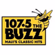 Logo de 107.5 The Buzz - KBZB