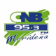 Logo de CNB 95.3FM