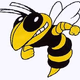 Logo de WHSD
